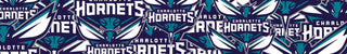 Charlotte Hornets