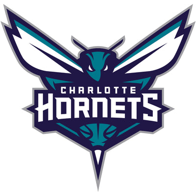 Charlotte Hornets logo