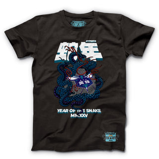 Charlotte Hornets x Year of the Snake