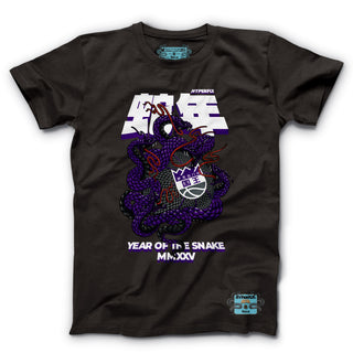 Sacramento Kings x Year of the Snake