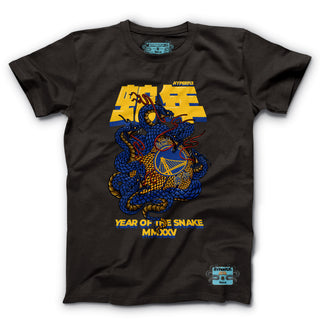 Golden State Warriors x Year of the Snake