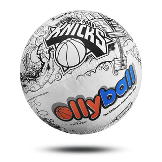 New York Knicks branded Ollyball
