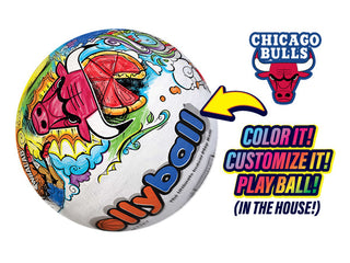 Chicago Bulls branded Ollyball